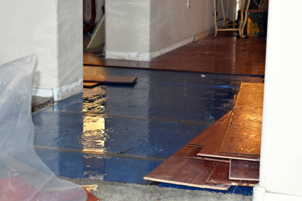 Professional Flood Damage Repair technician working in Sandy Hook, CT